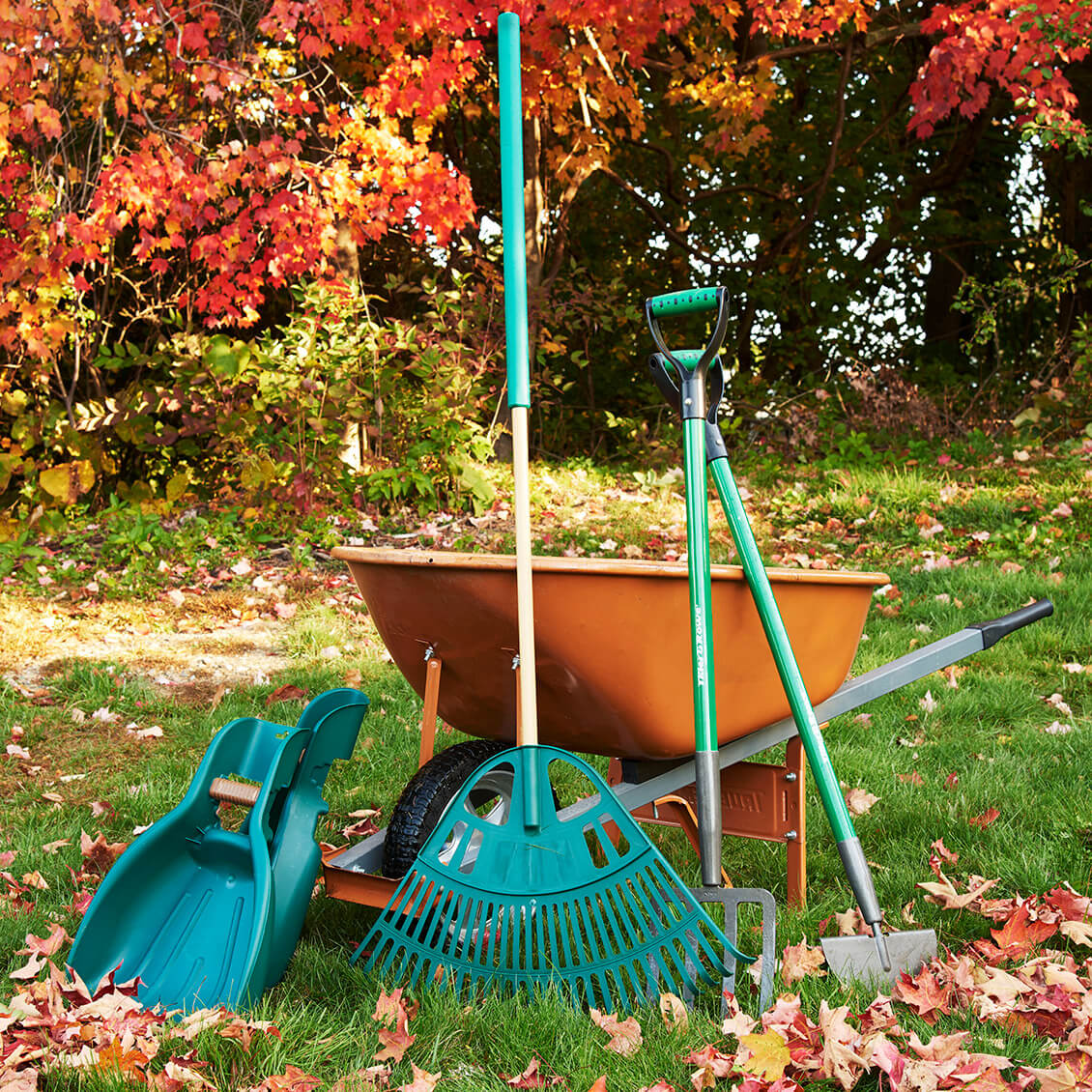 Fall Essentials: Rake and leaves.