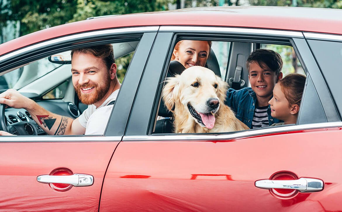 Happy family inside a car with their pet dog.